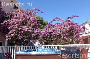 Villa Lavandula 36